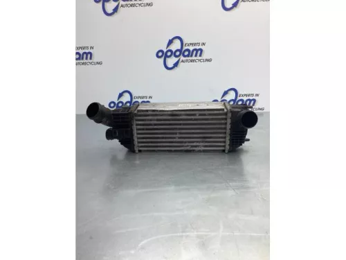 Intercooler-6921054